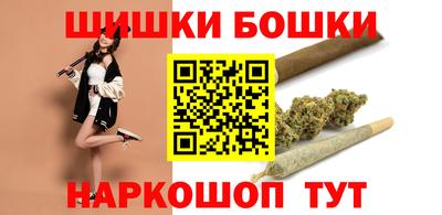молекула духа Будённовск