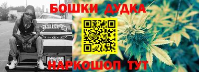 молекула духа Будённовск