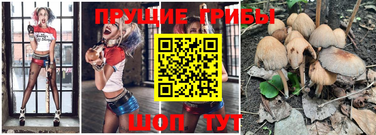 Псилоцибиновые грибы Magic Shrooms Реутов